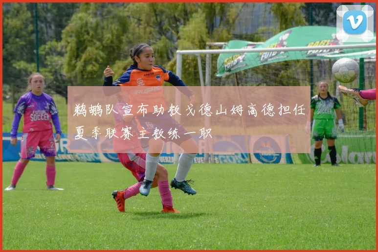 鹈鹕队宣布助教戈德山姆高德担任夏季联赛主教练一职
